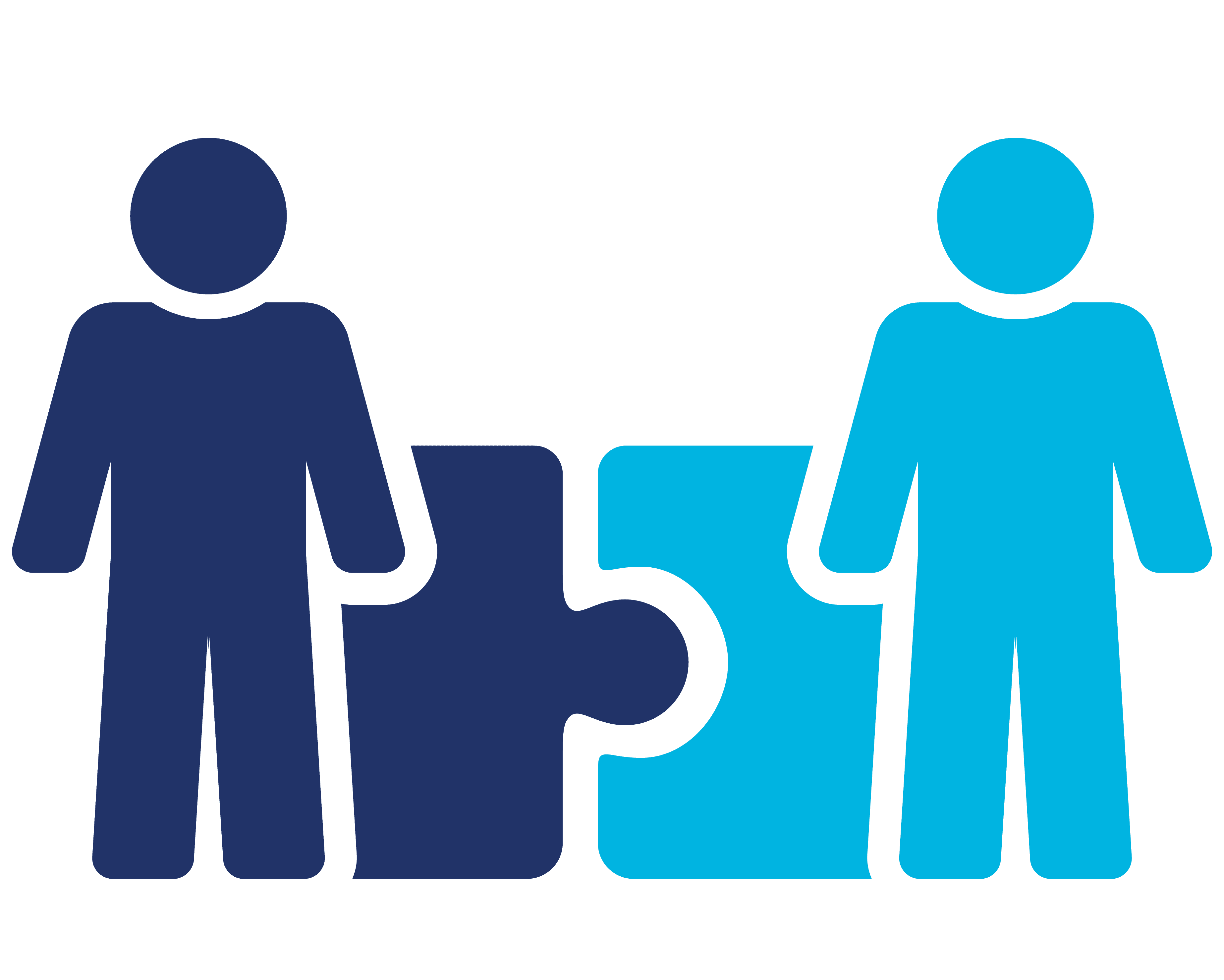 Mentorship programme